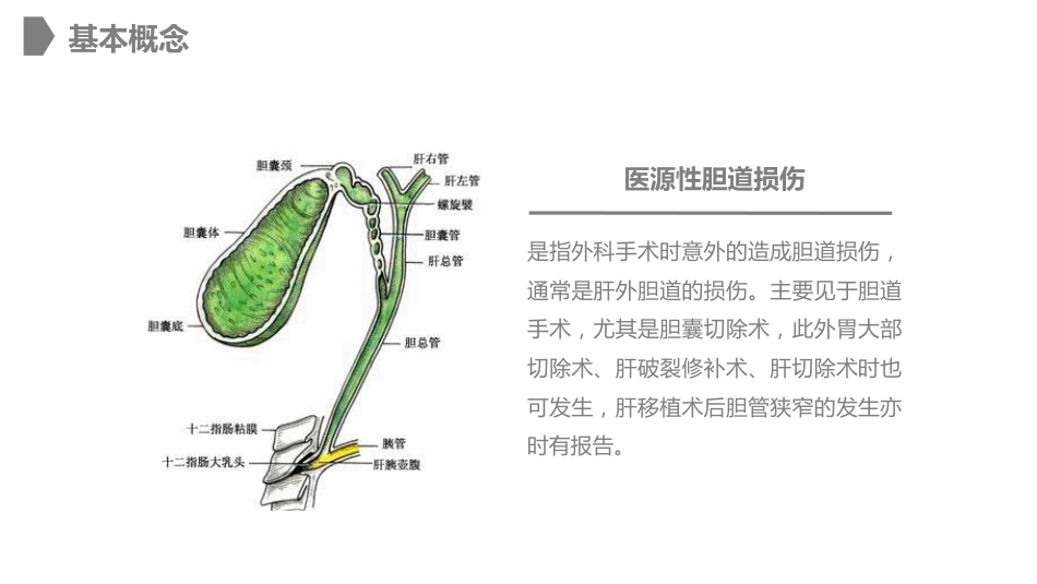 外科护理：胆道损伤的护理措施知识课件_第5页