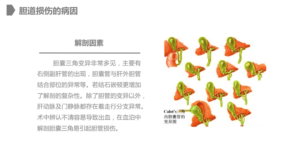 外科护理：胆道损伤的护理措施知识课件_第6页