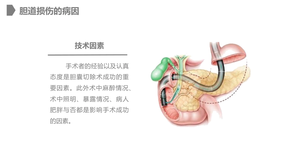 外科护理：胆道损伤的护理措施知识课件_第8页
