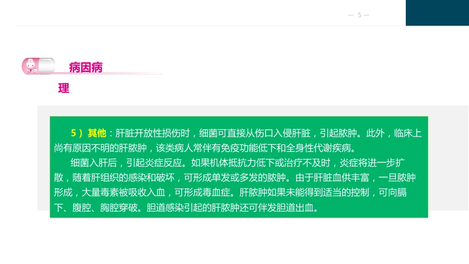 肝胆胰疾病护理_第5页