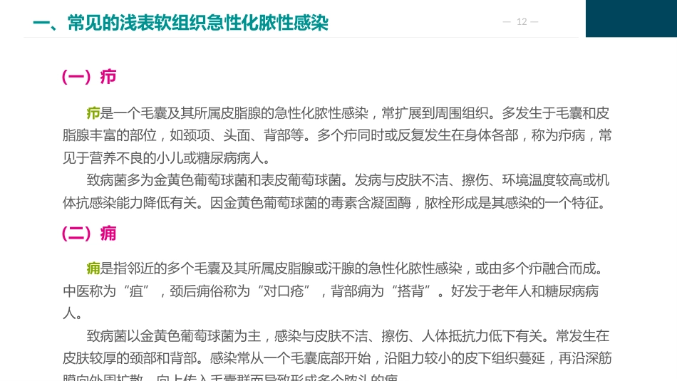 外科感染病人的护理_第12页