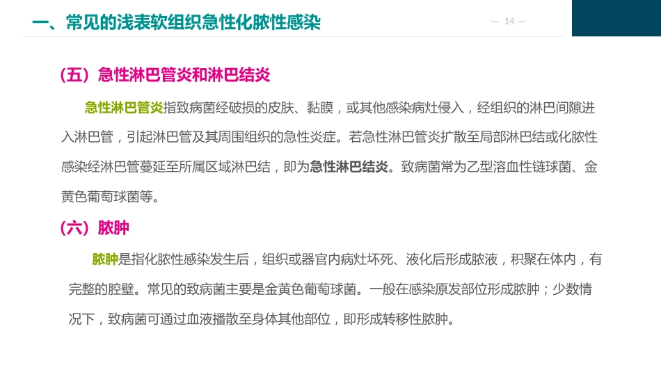 外科感染病人的护理_第14页