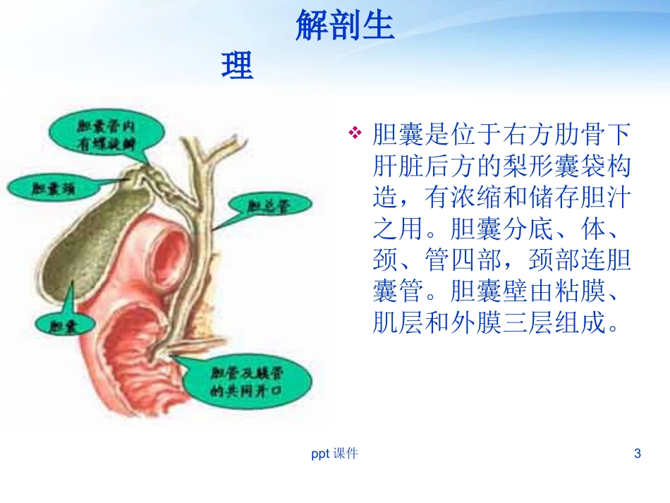 胆囊炎胆囊结石病人护理_第3页