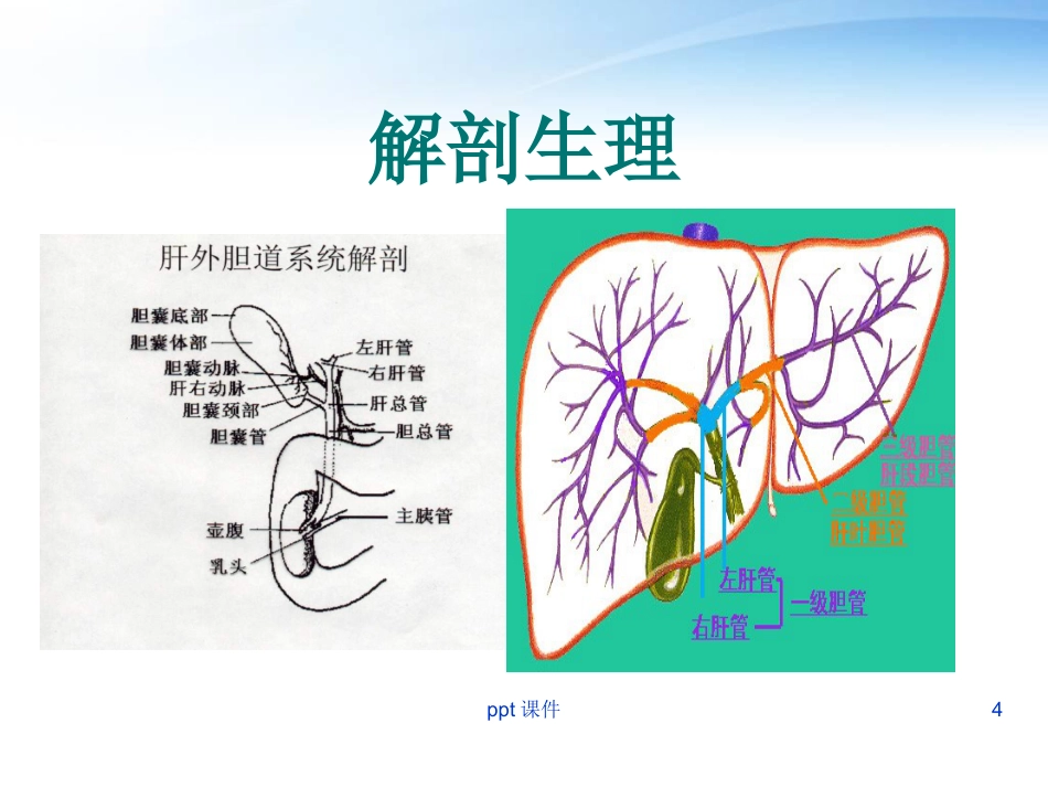 胆囊炎胆囊结石病人护理_第4页