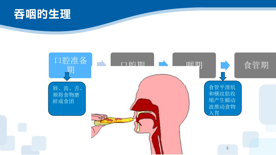 吞咽障碍的康复护理_第5页