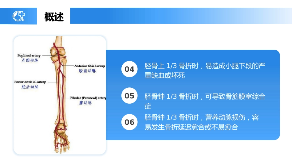 外科护理：胫腓骨骨折护理_第7页