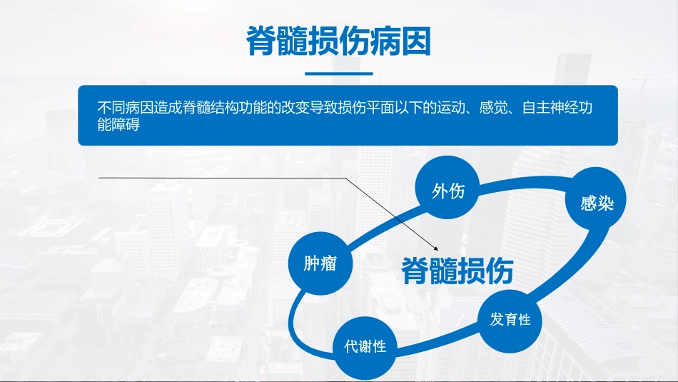 颈椎骨折脊髓损伤护理查房ppt精选全文_第12页