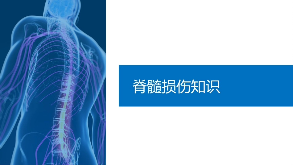 颈椎骨折脊髓损伤护理查房ppt精选全文_第8页