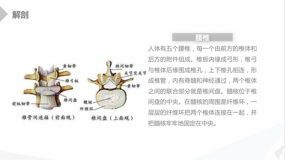外科护理：经前路腰椎手术的综合护理_第5页