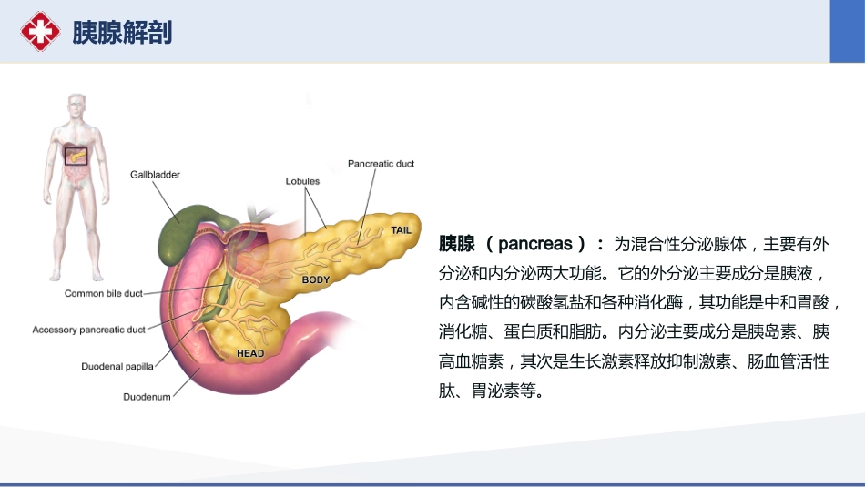 胰十二指肠切除术护理查房_第4页