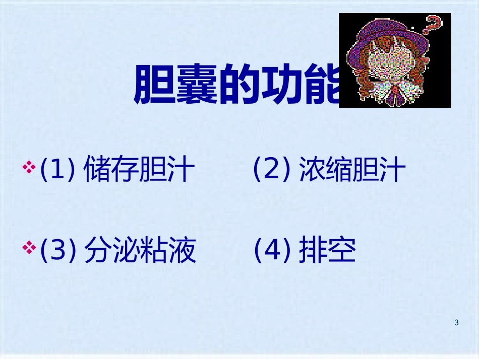 胆囊炎的基础知识与护理_第3页