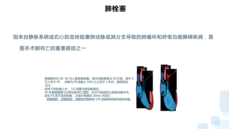 深静脉血栓的预防及护理ppt_第10页
