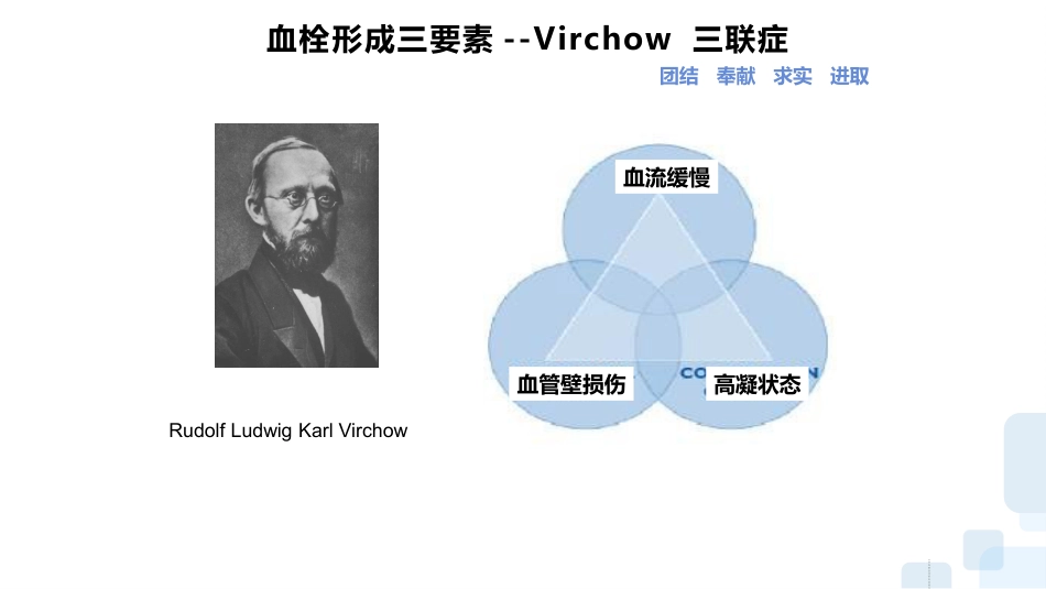 深静脉血栓的预防及护理ppt_第14页