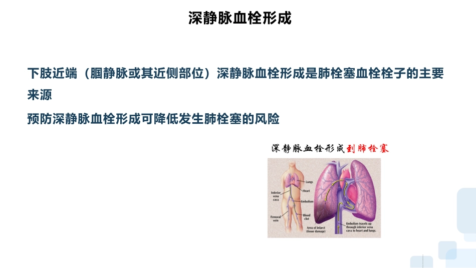 深静脉血栓的预防及护理ppt_第7页