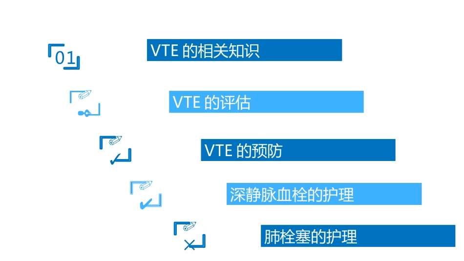 VTE的预防和护理ppt课件_第2页