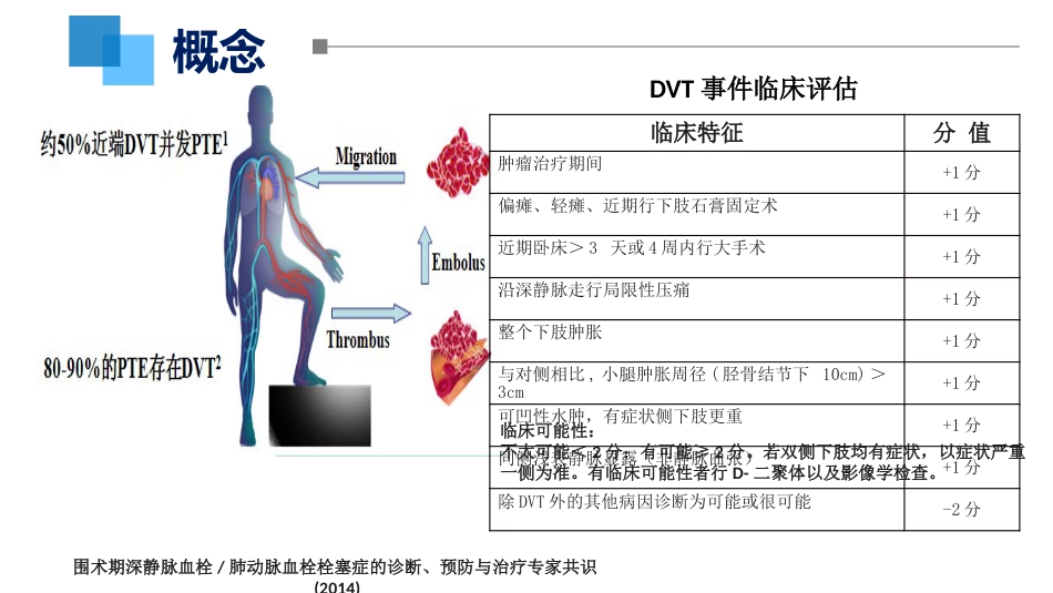 VTE的预防和护理ppt课件_第5页