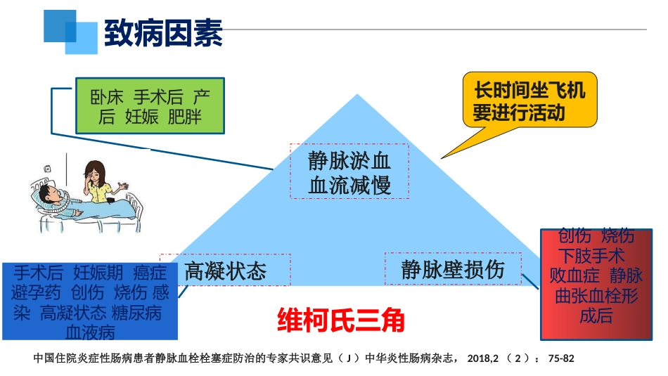 VTE的预防和护理ppt课件_第7页