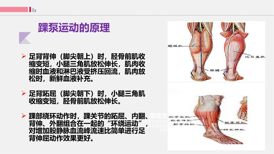 踝泵运动-只要动起来就会栓不住_第6页