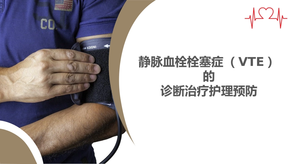 VTE的预防及护理课件ppt_第1页