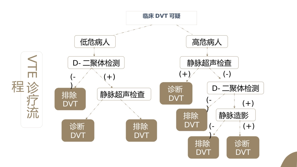 VTE的预防及护理课件ppt_第13页