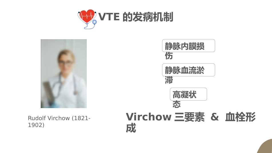 VTE的预防及护理课件ppt_第5页