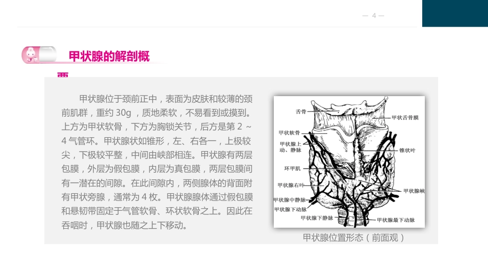 颈部疾病病人的护理_第4页