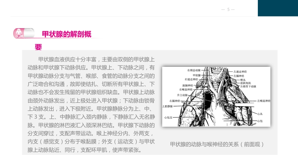 颈部疾病病人的护理_第5页