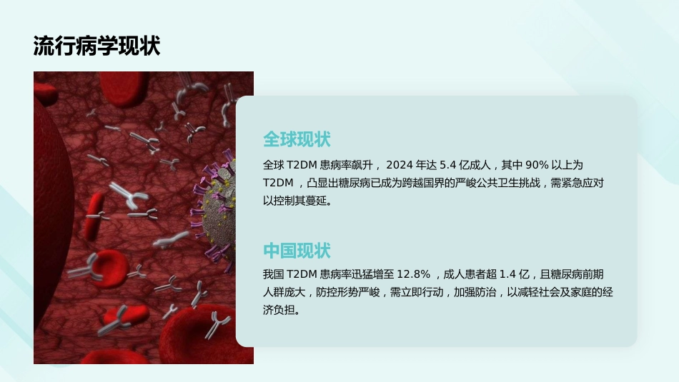 成人2型糖尿病口服降糖药联合治疗专家共识（2025版）解读PPT课件_第10页