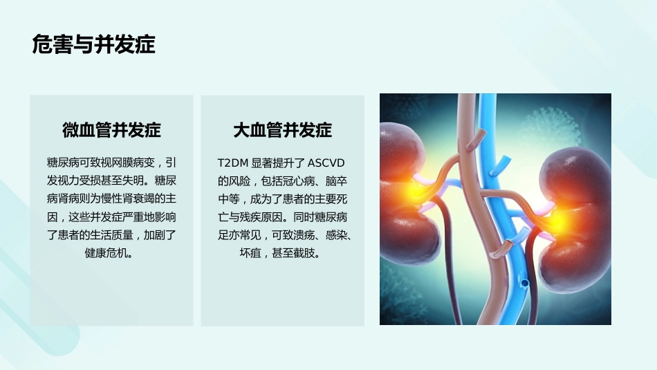 成人2型糖尿病口服降糖药联合治疗专家共识（2025版）解读PPT课件_第11页