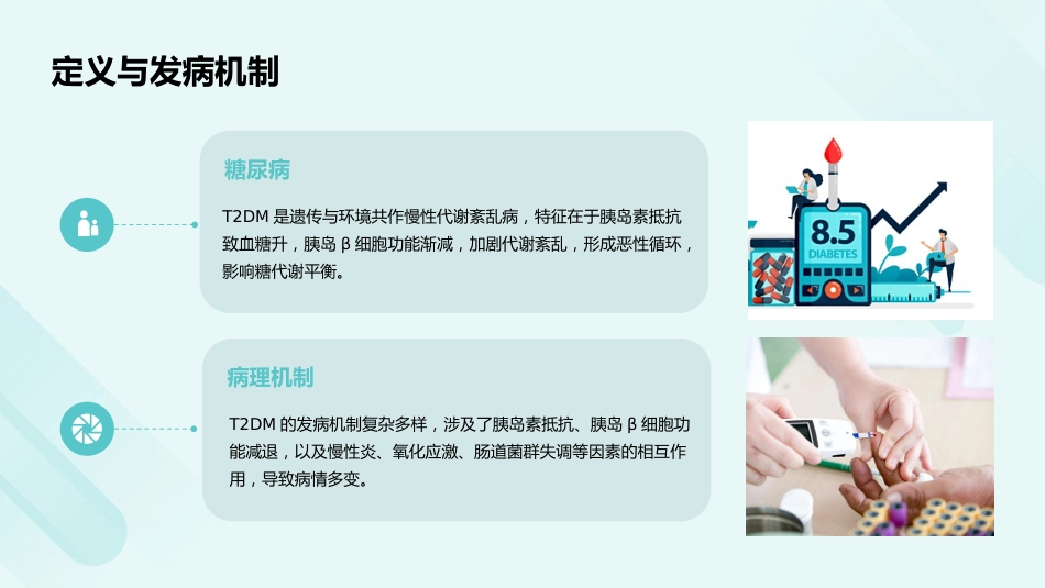 成人2型糖尿病口服降糖药联合治疗专家共识（2025版）解读PPT课件_第9页