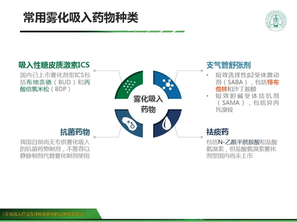 雾化吸入疗法在呼吸疾病中的应用专家共识 (2)_第14页