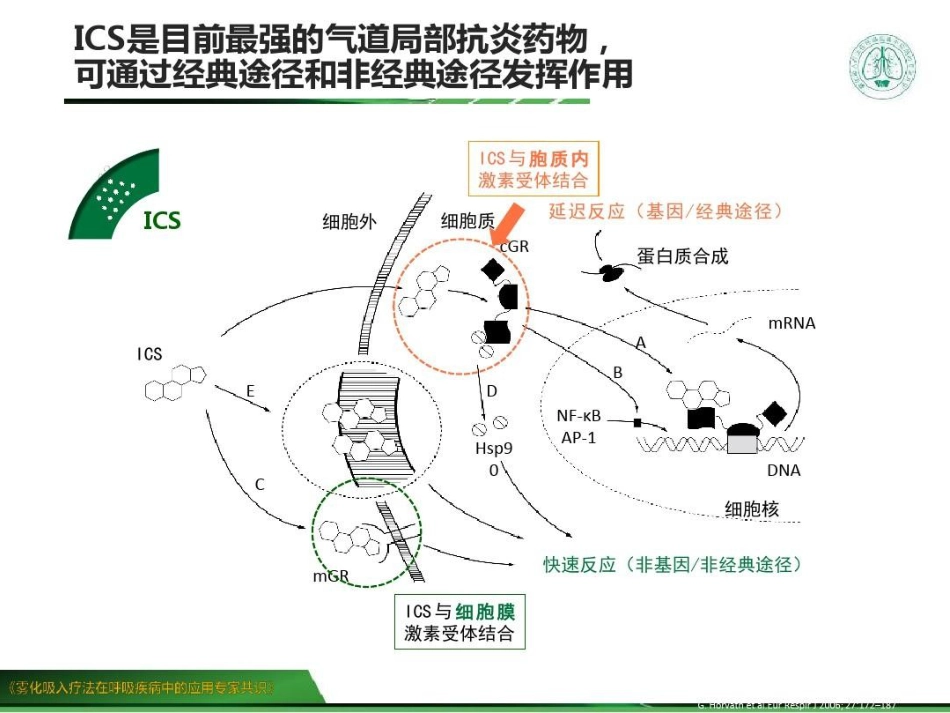 雾化吸入疗法在呼吸疾病中的应用专家共识 (2)_第15页
