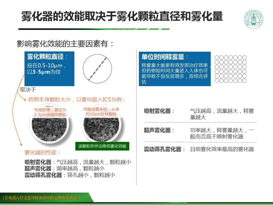 雾化吸入疗法在呼吸疾病中的应用专家共识 (2)_第9页