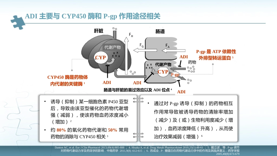 《老年人多重用药安全管理专家共识》解读_第14页