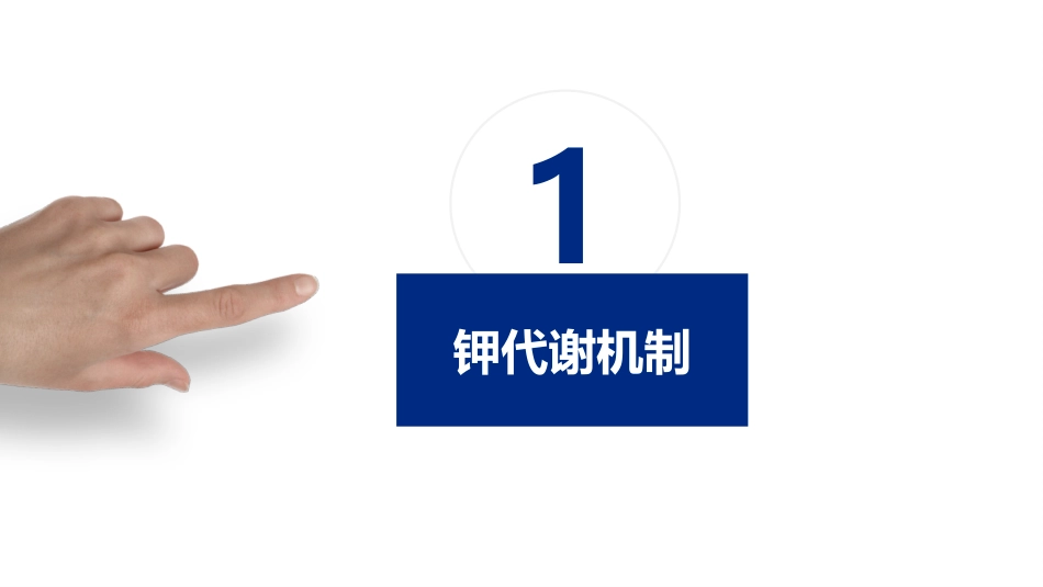 中国慢性肾脏病患者血钾管理实践专家共识ppt_第3页
