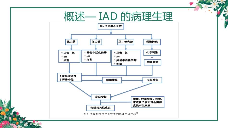IAD专家共识解读PPT课件_第5页