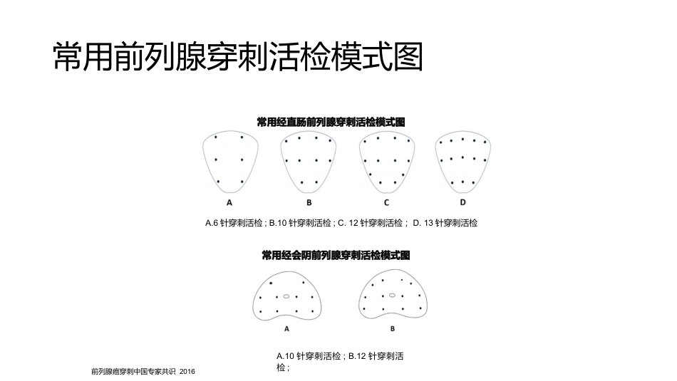 《前列腺穿刺中国专家共识》_第13页