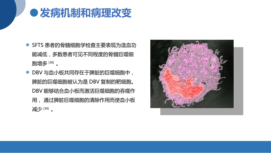 发热伴血小板减少综合征诊疗共识_第13页