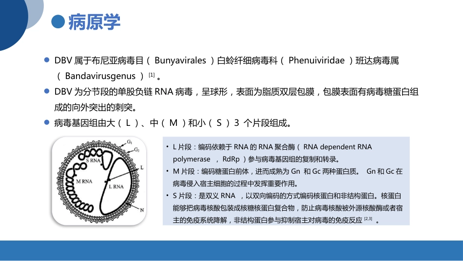发热伴血小板减少综合征诊疗共识_第4页
