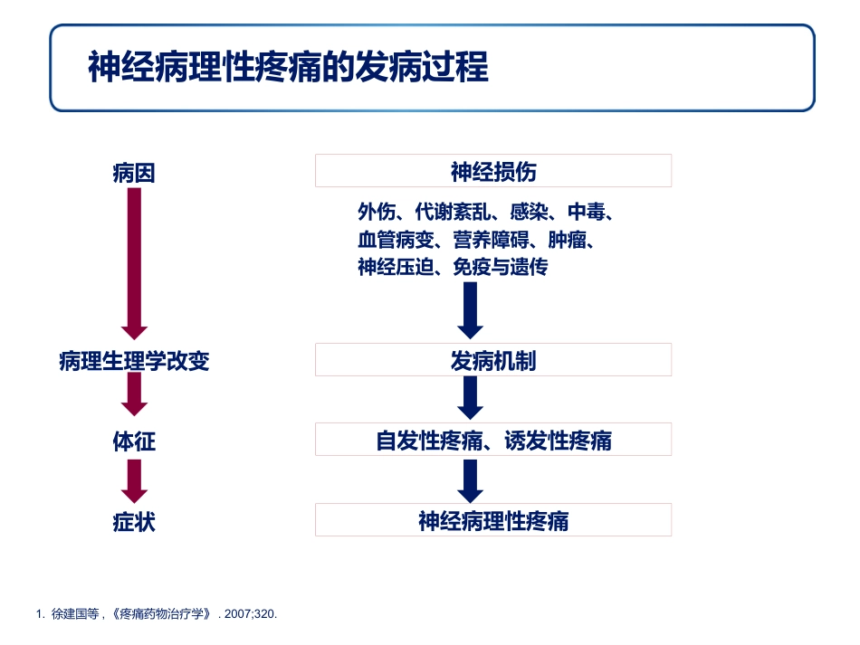 神经病理性疼痛诊疗专家共识解读幻灯_第11页
