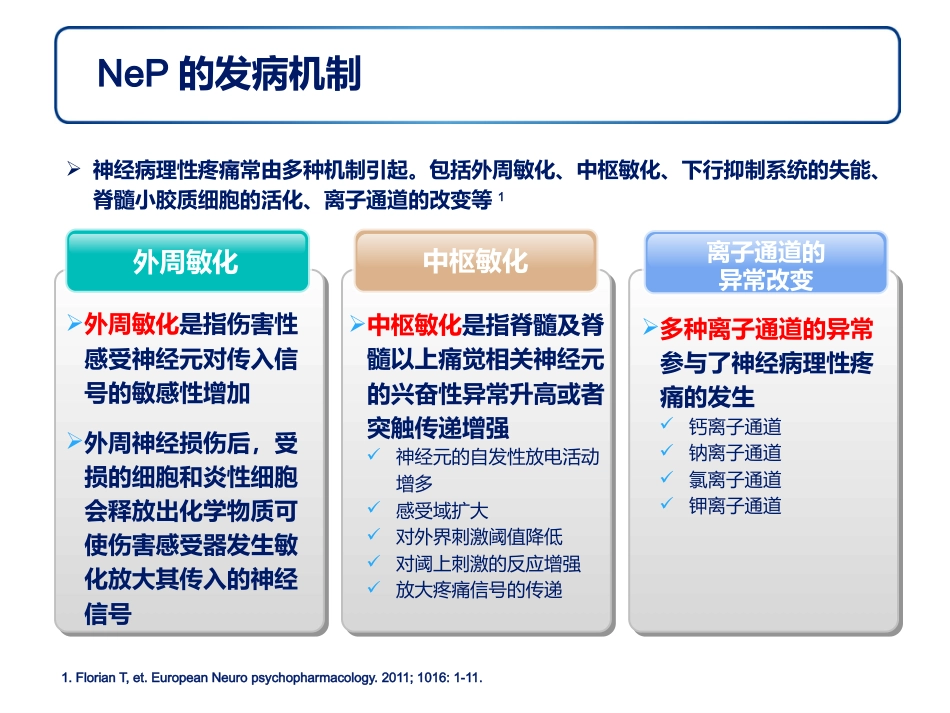 神经病理性疼痛诊疗专家共识解读幻灯_第13页