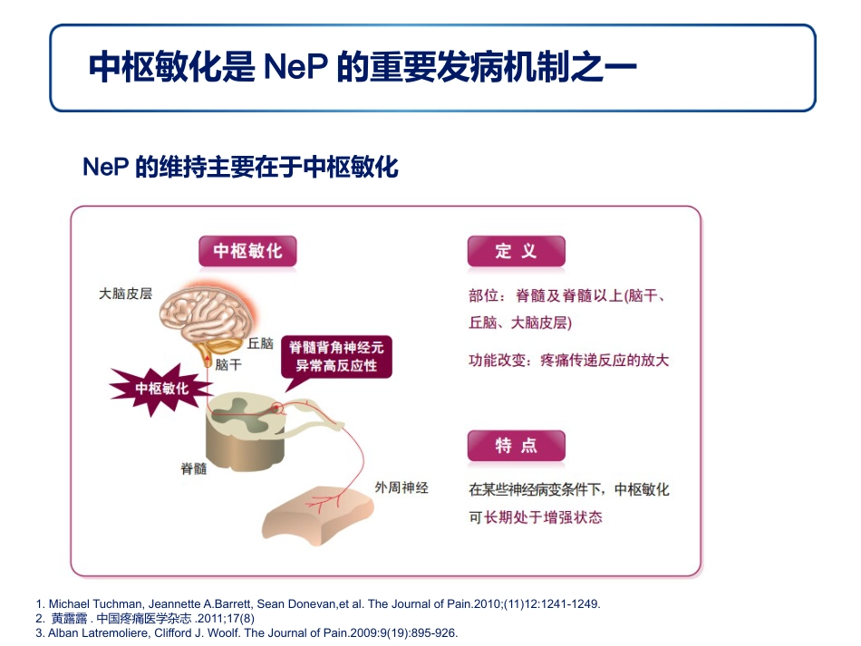 神经病理性疼痛诊疗专家共识解读幻灯_第14页