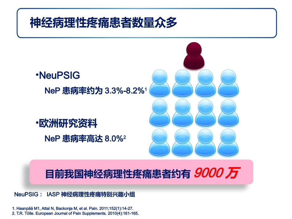 神经病理性疼痛诊疗专家共识解读幻灯_第6页