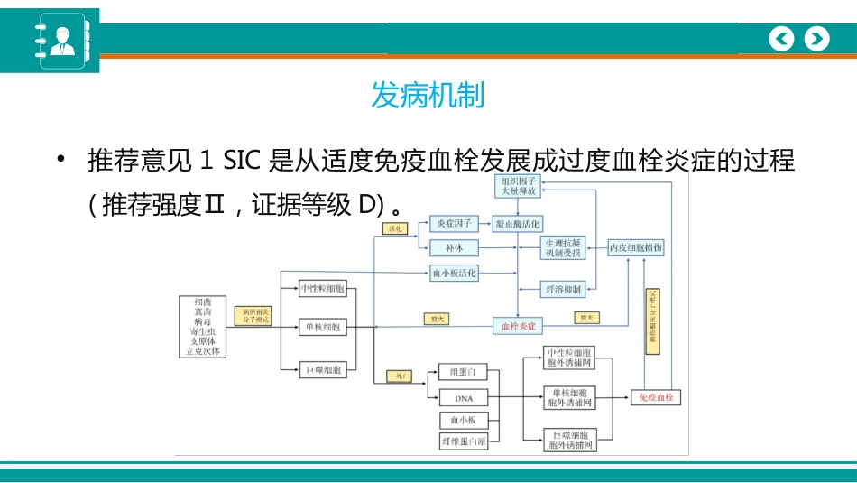 脓毒症性凝血病诊疗中国专家共识(2024)_第3页