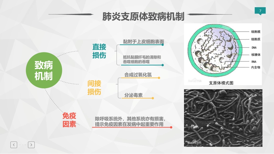 儿童肺炎支原体肺炎专家共识指南解读PPT精选课件_第7页