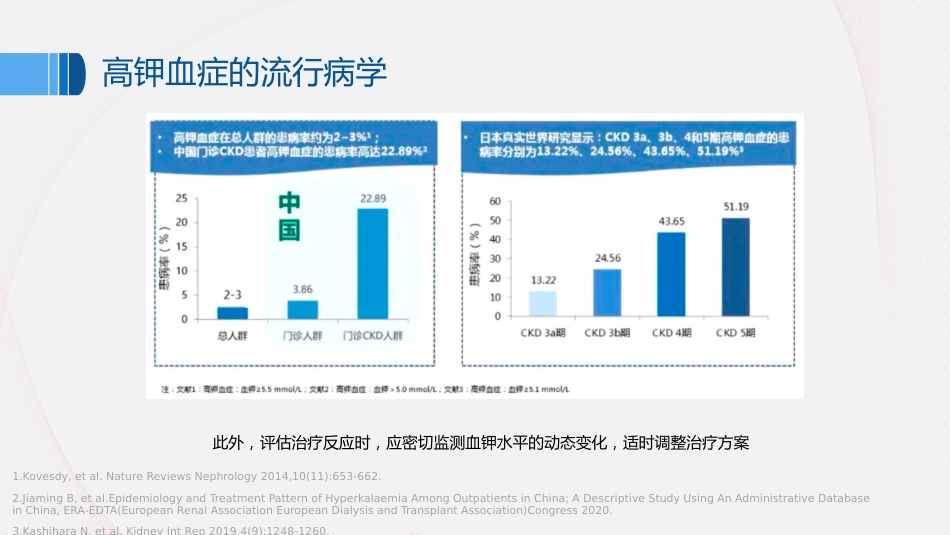 《中国慢性肾脏病患者血钾管理实践专家共识(2020)》解读_第13页