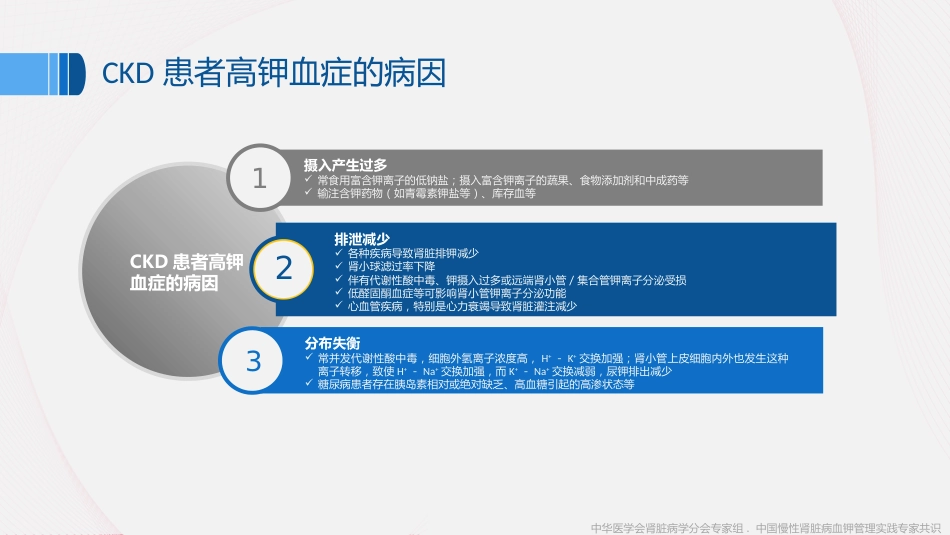 《中国慢性肾脏病患者血钾管理实践专家共识(2020)》解读_第14页