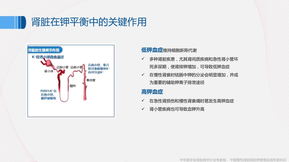 《中国慢性肾脏病患者血钾管理实践专家共识(2020)》解读_第4页