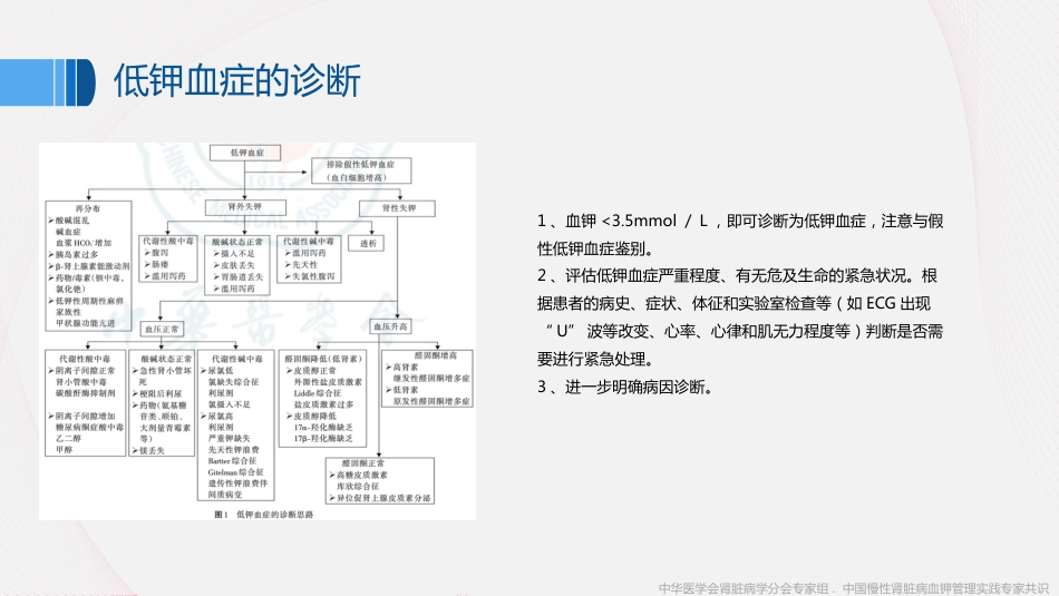 《中国慢性肾脏病患者血钾管理实践专家共识(2020)》解读_第9页