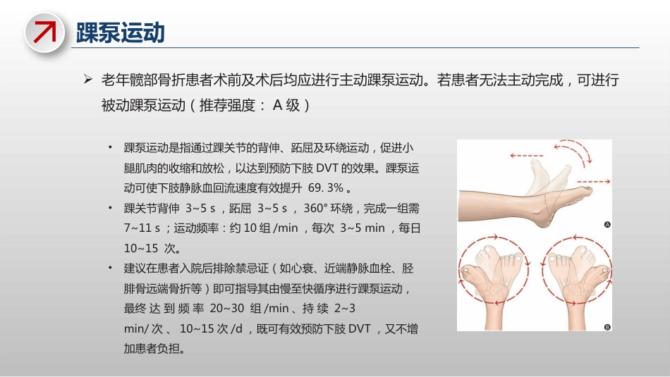 老年髋部骨折患者围术期下肢深静脉血栓基础预防专家共识_第12页